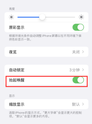 鄂尔多斯苹果授权维修站分享iPhone轻点无法唤醒怎么办