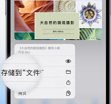 鄂尔多斯apple维修中心分享iPhone文件应用中存储和找到下载文件