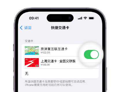 鄂尔多斯apple维修点分享iPhone上更换Apple Pay快捷交通卡手绘卡面 