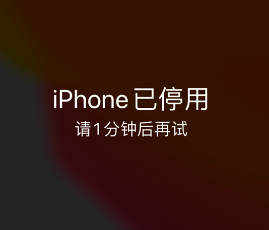 鄂尔多斯苹果手机维修分享:iPhone 显示“不可用”或“已停用”怎么办？还能保留数据吗？ 