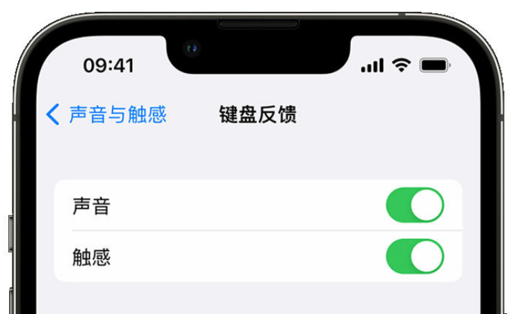 鄂尔多斯苹果手机维修分享iPhone 14触感键盘使用方法 