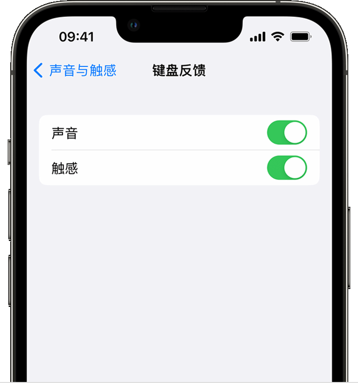 鄂尔多斯苹果14维修店分享如何在 iPhone 14 机型中使用触感键盘 