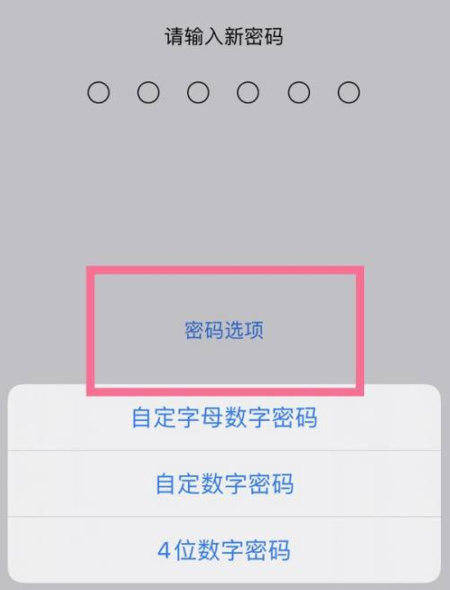 鄂尔多斯苹果14维修分享iPhone 14plus设置密码的方法 