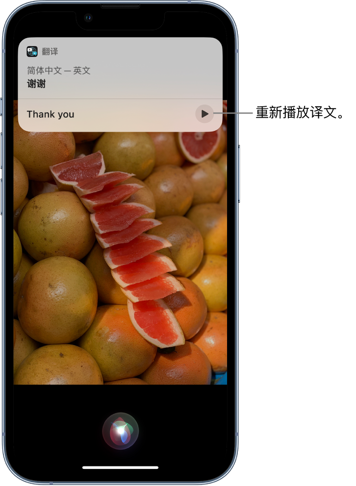 鄂尔多斯苹果14维修分享 iPhone 14 机型中使用 Siri：了解 Siri 能帮你做什么 