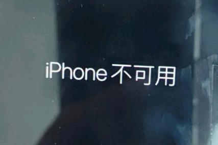 鄂尔多斯苹果服务网点分享锁屏界面显示“iPhone 不可用”如何解决 