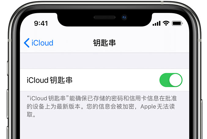 鄂尔多斯苹果手机维修分享在 iPhone 上开启 iCloud 钥匙串之后会储存哪些信息 