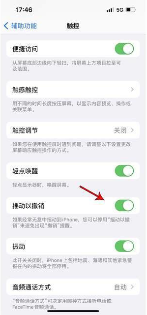 鄂尔多斯苹果手机维修分享iPhone手机如何设置摇一摇删除文字 
