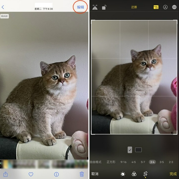 鄂尔多斯苹果手机维修分享苹果 iPhone 12 Pro 拍照会过度锐化 